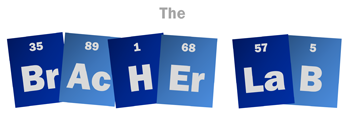 Bracher Lab Elements Banner