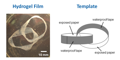 Graphical Abstract for Publication 7 - Shaped Films of Ionotropic Hydrogels