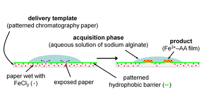 Graphical Abstract for Publication 10 - Review of Paper Delivery Templates